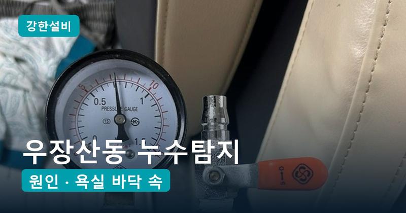 우장산동 누수탐지 | 욕실 옆 안방 장판 끝에 핀 곰팡이, 욕실 바닥 속 배관 연결부 틈이 원인